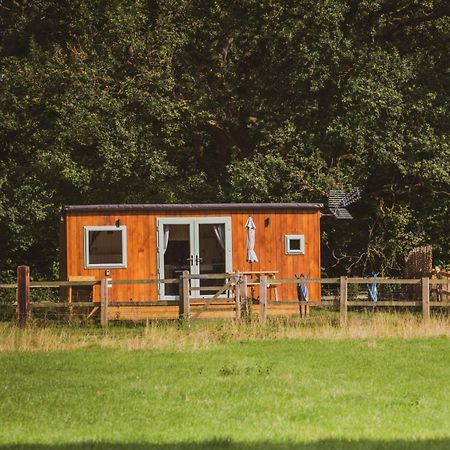 The Hideaway At Hiddenwood Glamping Hotel Corsley Kültér fotó